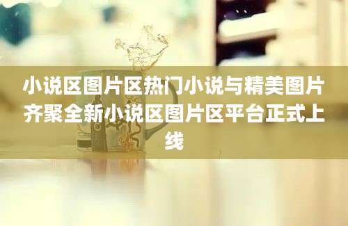 小说区图片区热门小说与精美图片齐聚全新小说区图片区平台正式上线