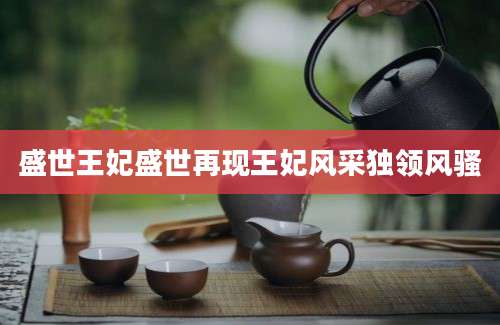 盛世王妃盛世再现王妃风采独领风骚