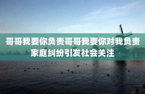 哥哥我要你负责哥哥我要你对我负责家庭纠纷引发社会关注