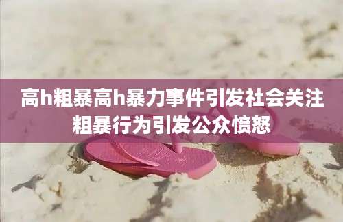 高h粗暴高h暴力事件引发社会关注粗暴行为引发公众愤怒