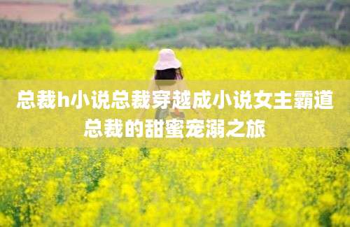 总裁h小说总裁穿越成小说女主霸道总裁的甜蜜宠溺之旅