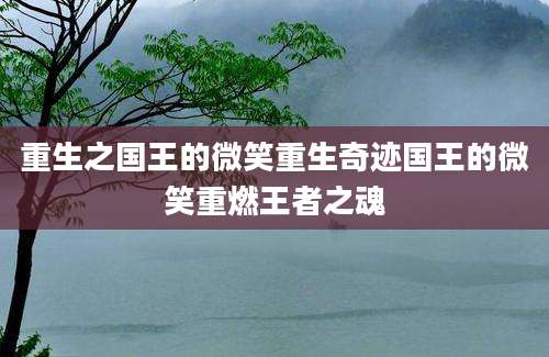 重生之国王的微笑重生奇迹国王的微笑重燃王者之魂