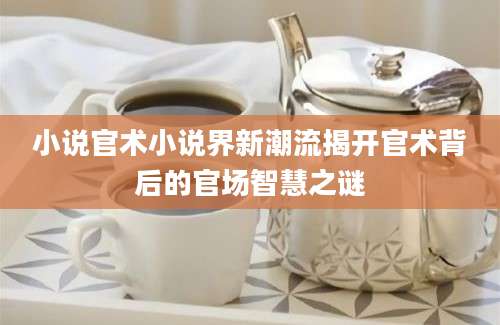 小说官术小说界新潮流揭开官术背后的官场智慧之谜