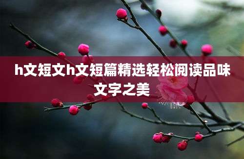h文短文h文短篇精选轻松阅读品味文字之美