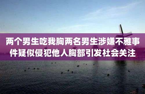 两个男生吃我胸两名男生涉嫌不雅事件疑似侵犯他人胸部引发社会关注