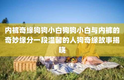 内裤奇缘狗狗小白狗狗小白与内裤的奇妙缘分一段温馨的人狗奇缘故事揭晓