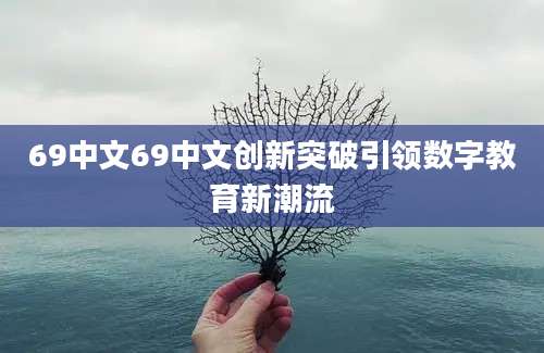 69中文69中文创新突破引领数字教育新潮流