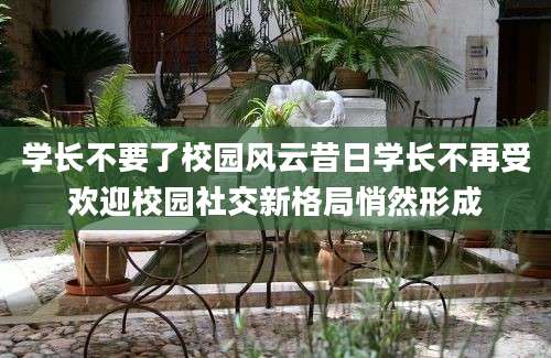 学长不要了校园风云昔日学长不再受欢迎校园社交新格局悄然形成