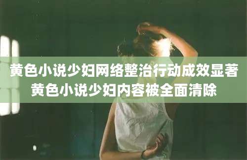 黄色小说少妇网络整治行动成效显著黄色小说少妇内容被全面清除