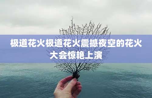 极道花火极道花火震撼夜空的花火大会惊艳上演