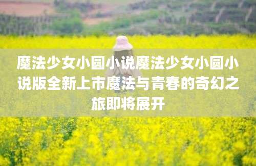 魔法少女小圆小说魔法少女小圆小说版全新上市魔法与青春的奇幻之旅即将展开