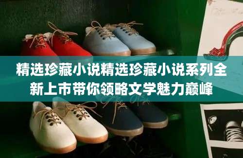 精选珍藏小说精选珍藏小说系列全新上市带你领略文学魅力巅峰