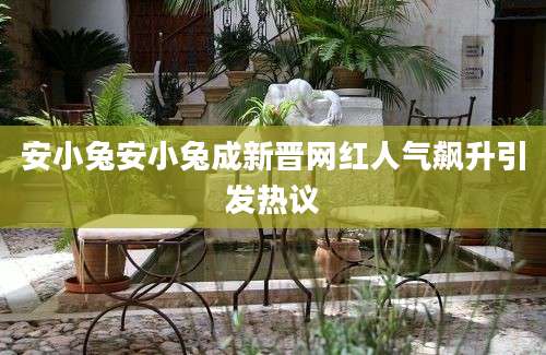 安小兔安小兔成新晋网红人气飙升引发热议