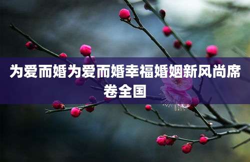 为爱而婚为爱而婚幸福婚姻新风尚席卷全国