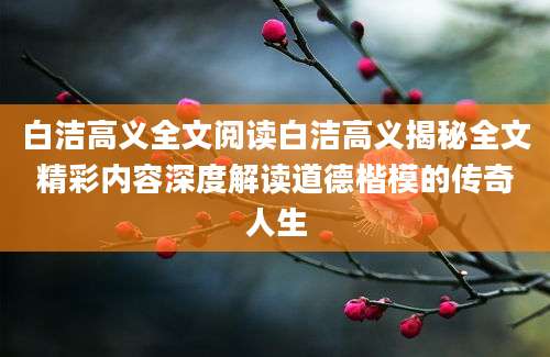 白洁高义全文阅读白洁高义揭秘全文精彩内容深度解读道德楷模的传奇人生
