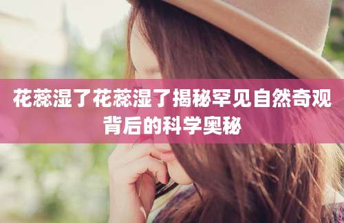 花蕊湿了花蕊湿了揭秘罕见自然奇观背后的科学奥秘