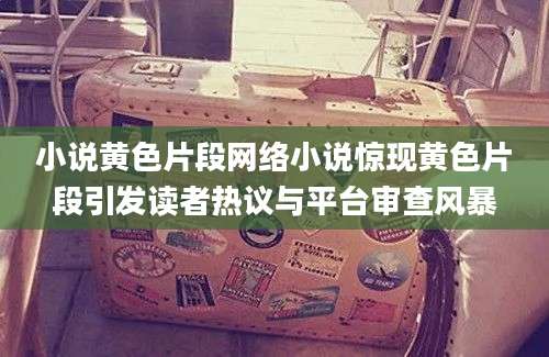 小说黄色片段网络小说惊现黄色片段引发读者热议与平台审查风暴