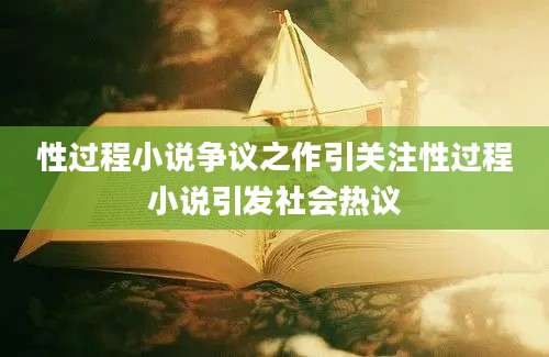 性过程小说争议之作引关注性过程小说引发社会热议