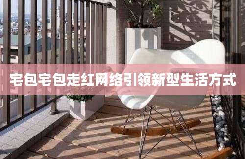 宅包宅包走红网络引领新型生活方式