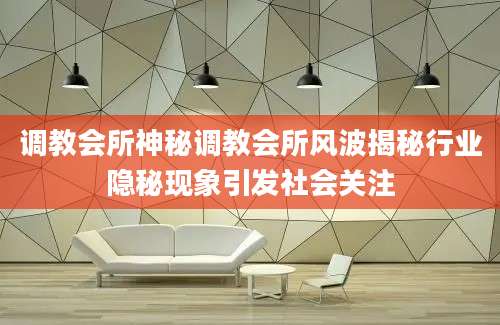 调教会所神秘调教会所风波揭秘行业隐秘现象引发社会关注