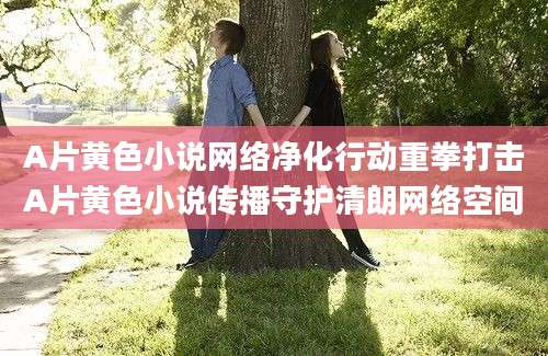 A片黄色小说网络净化行动重拳打击A片黄色小说传播守护清朗网络空间
