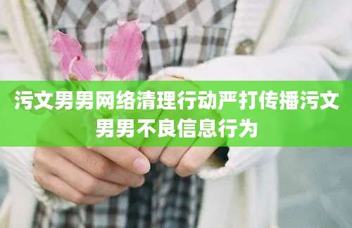 污文男男网络清理行动严打传播污文男男不良信息行为
