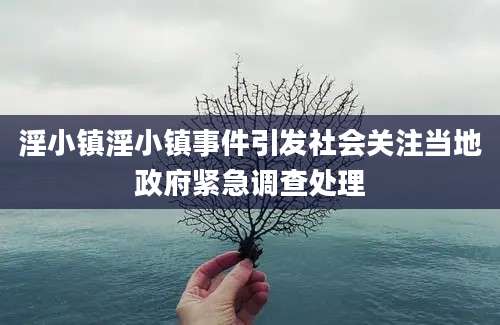 淫小镇淫小镇事件引发社会关注当地政府紧急调查处理