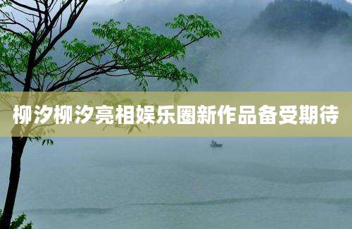 柳汐柳汐亮相娱乐圈新作品备受期待