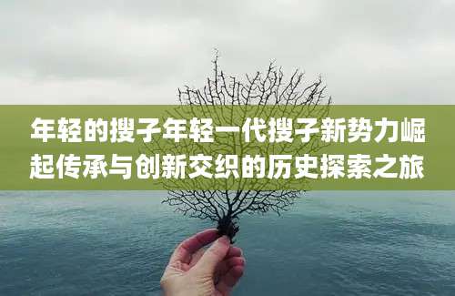 年轻的搜孑年轻一代搜孑新势力崛起传承与创新交织的历史探索之旅
