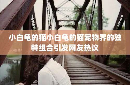 小白龟的猫小白龟的猫宠物界的独特组合引发网友热议
