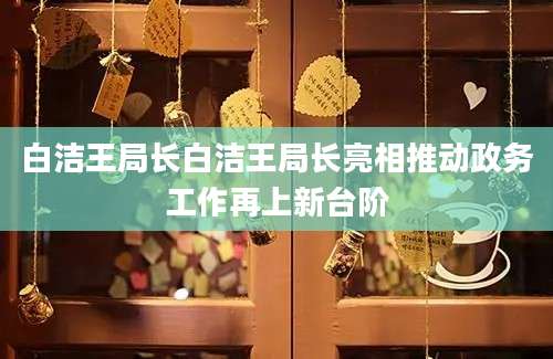 白洁王局长白洁王局长亮相推动政务工作再上新台阶