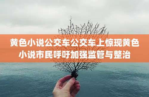 黄色小说公交车公交车上惊现黄色小说市民呼吁加强监管与整治
