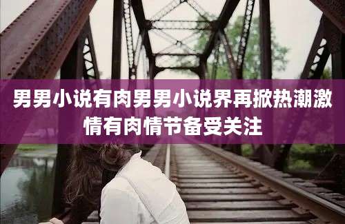 男男小说有肉男男小说界再掀热潮激情有肉情节备受关注