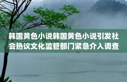 韩国黄色小说韩国黄色小说引发社会热议文化监管部门紧急介入调查