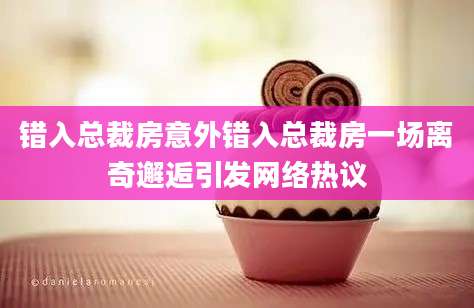 错入总裁房意外错入总裁房一场离奇邂逅引发网络热议