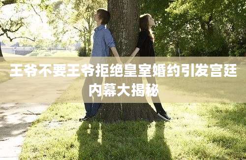 王爷不要王爷拒绝皇室婚约引发宫廷内幕大揭秘