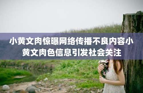 小黄文肉惊曝网络传播不良内容小黄文肉色信息引发社会关注