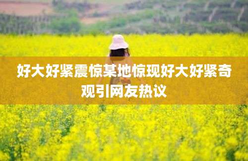 好大好紧震惊某地惊现好大好紧奇观引网友热议