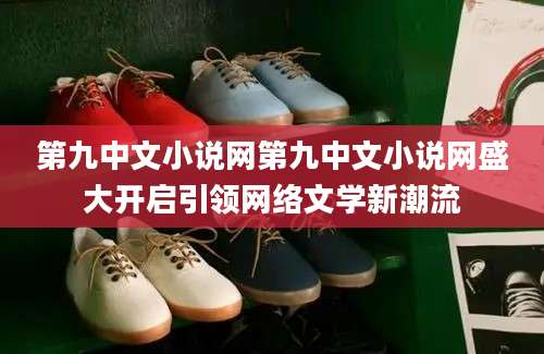 第九中文小说网第九中文小说网盛大开启引领网络文学新潮流