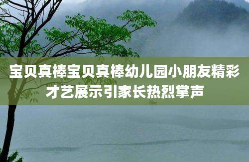 宝贝真棒宝贝真棒幼儿园小朋友精彩才艺展示引家长热烈掌声