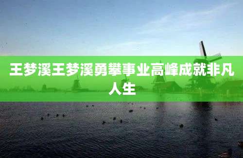 王梦溪王梦溪勇攀事业高峰成就非凡人生