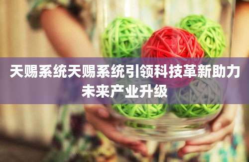 天赐系统天赐系统引领科技革新助力未来产业升级
