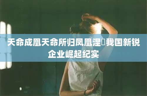 天命成凰天命所归凤凰涅槃我国新锐企业崛起纪实