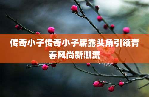 传奇小子传奇小子崭露头角引领青春风尚新潮流