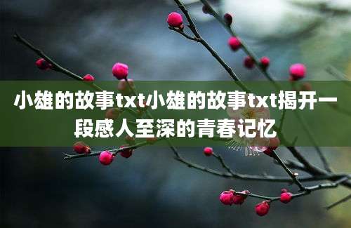 小雄的故事txt小雄的故事txt揭开一段感人至深的青春记忆