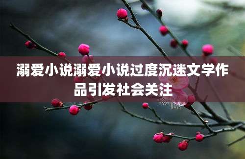 溺爱小说溺爱小说过度沉迷文学作品引发社会关注
