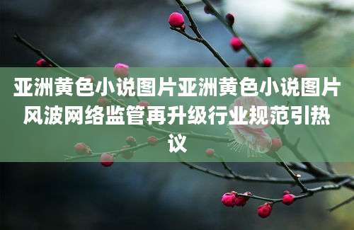 亚洲黄色小说图片亚洲黄色小说图片风波网络监管再升级行业规范引热议