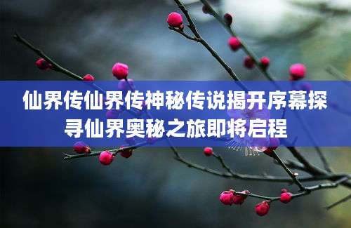 仙界传仙界传神秘传说揭开序幕探寻仙界奥秘之旅即将启程