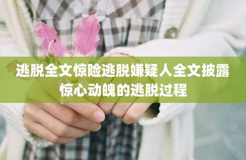 逃脱全文惊险逃脱嫌疑人全文披露惊心动魄的逃脱过程