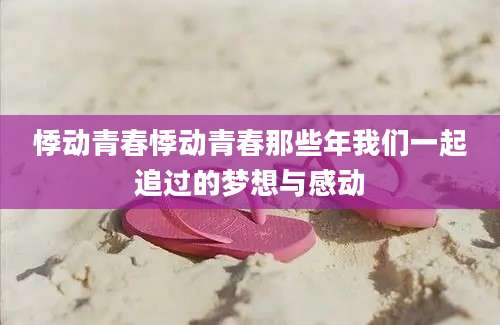悸动青春悸动青春那些年我们一起追过的梦想与感动